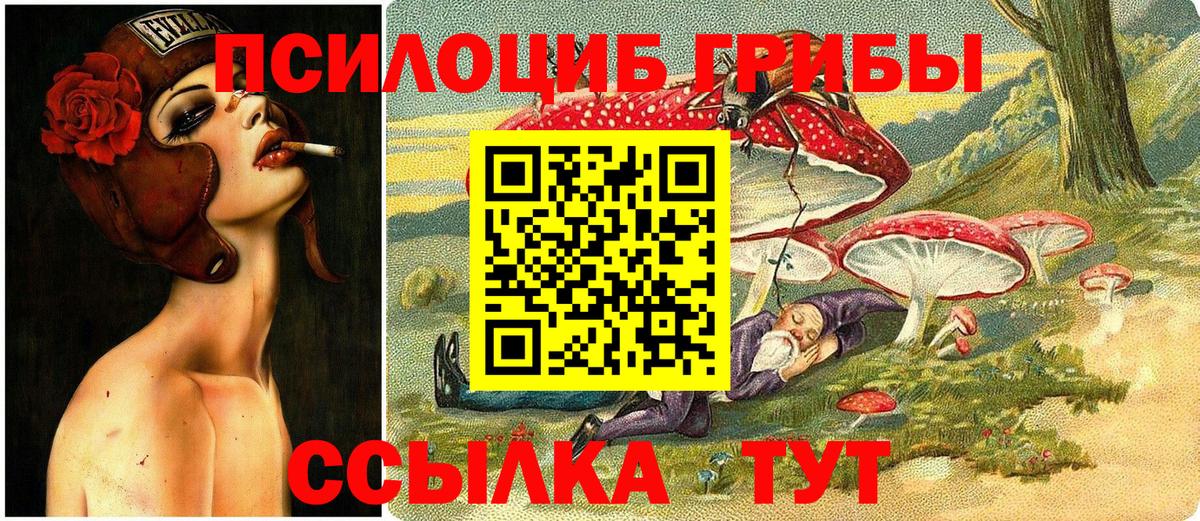 Псилоцибиновые грибы Cubensis Лыткарино